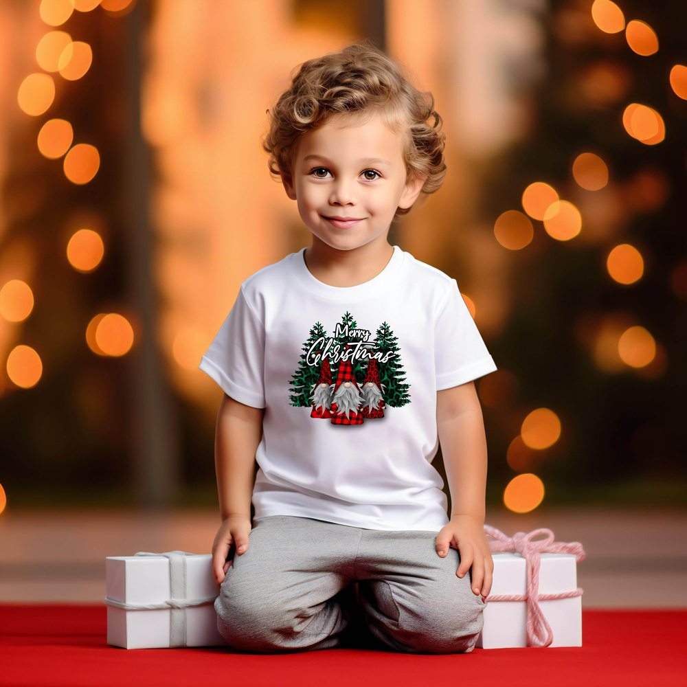 Merry Christmas Gnomes T Shirt
