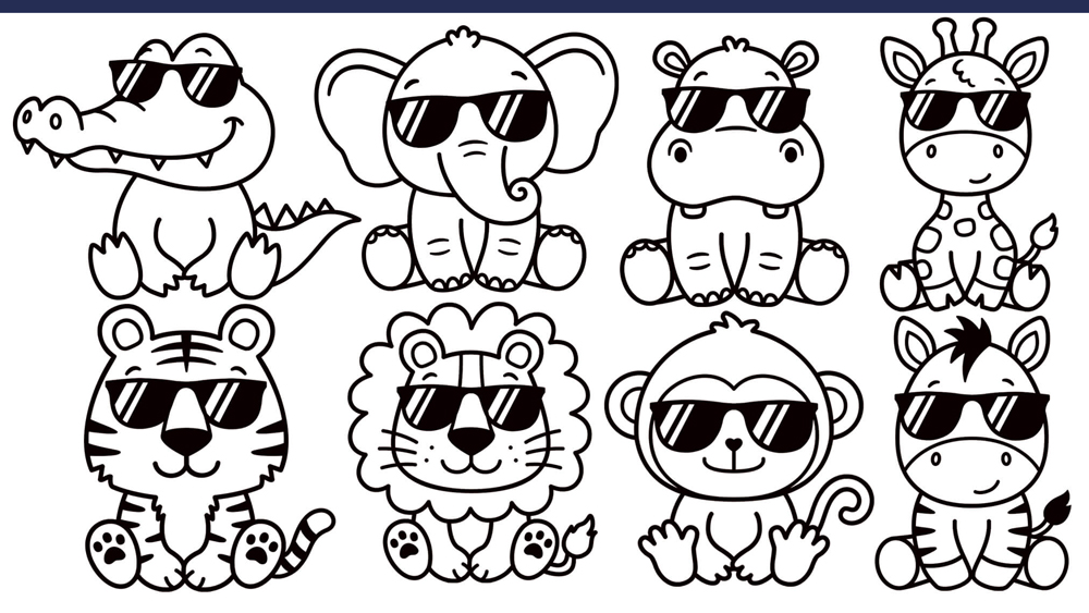 Design Choices